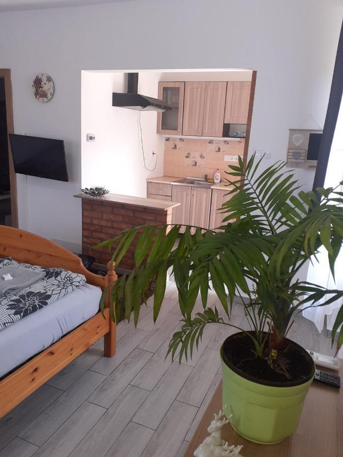 Oazis Apartman Sárospatak Εξωτερικό φωτογραφία